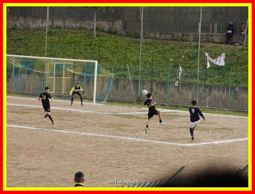 DSC04253_tn.jpg