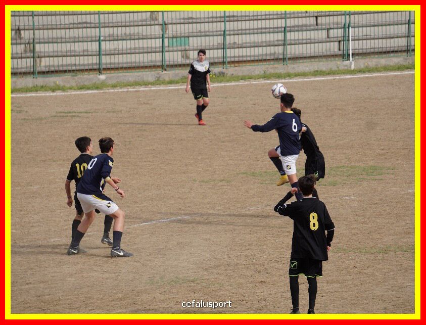 DSC04262_tn.jpg