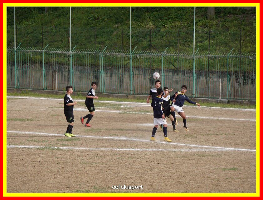 DSC04264_tn.jpg