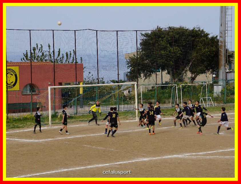 DSC04307_tn.jpg