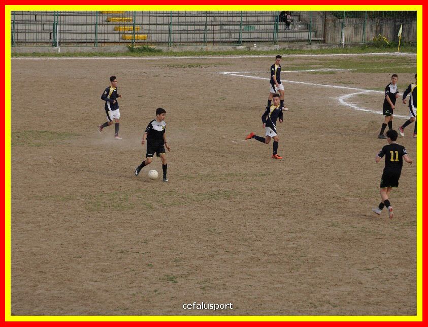 DSC04308_tn.jpg