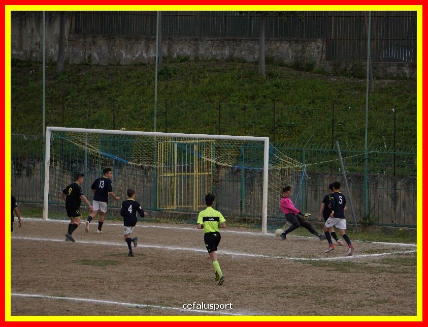 DSC04315_tn.jpg