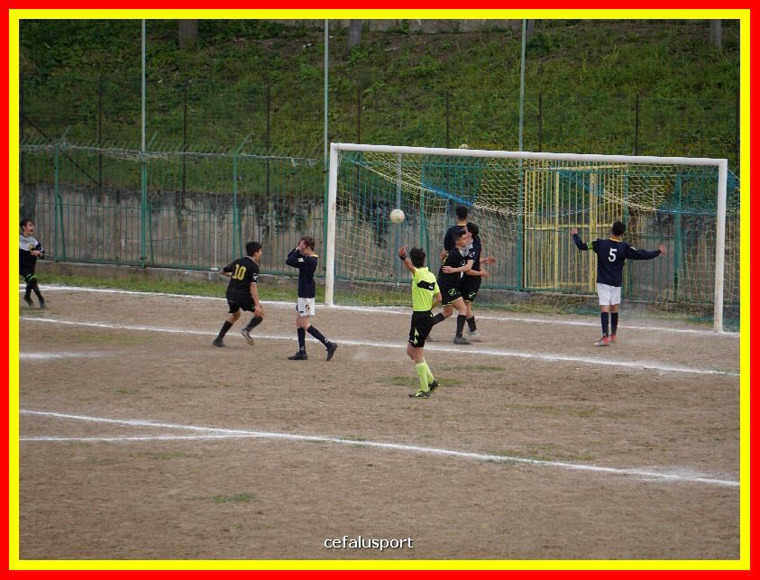 DSC04316_tn.jpg