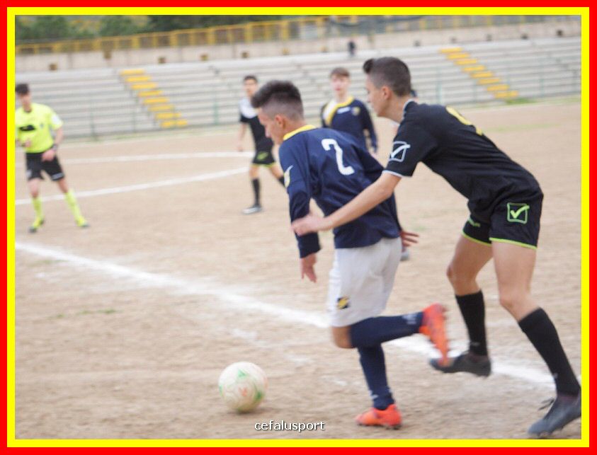 DSC04351_tn.jpg