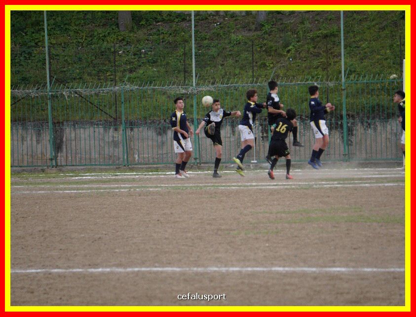 DSC04362_tn.jpg