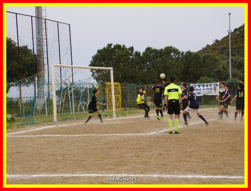DSC04371_tn.jpg