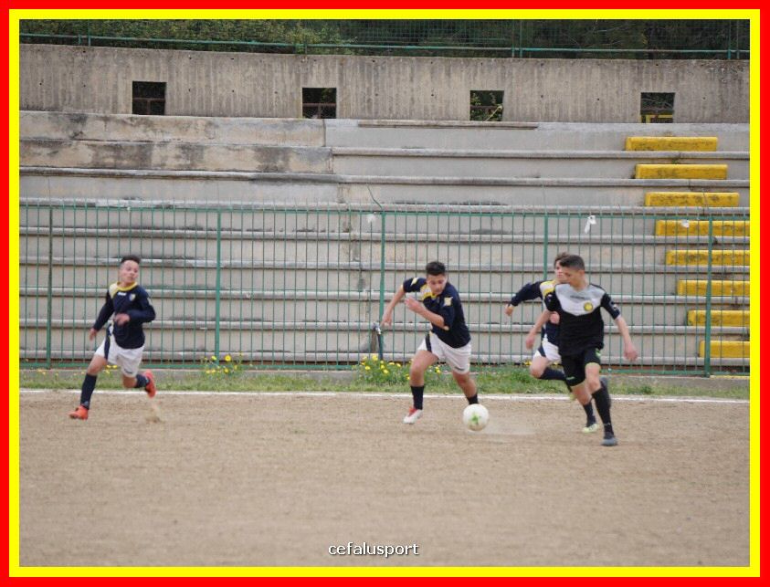DSC04383_tn.jpg