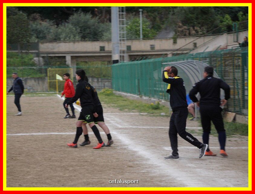 DSC04390_tn.jpg