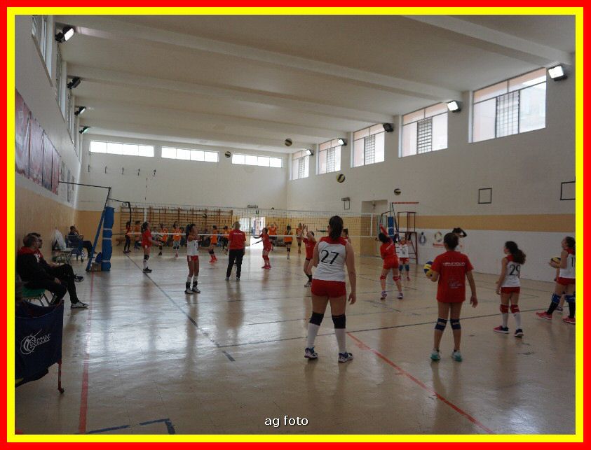 DSC04572_tn.jpg