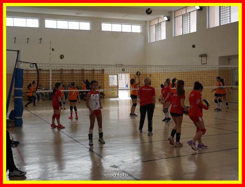 DSC04574_tn.jpg