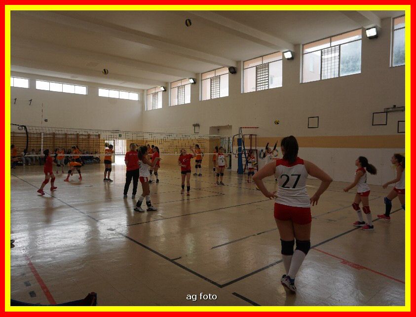 DSC04575_tn.jpg