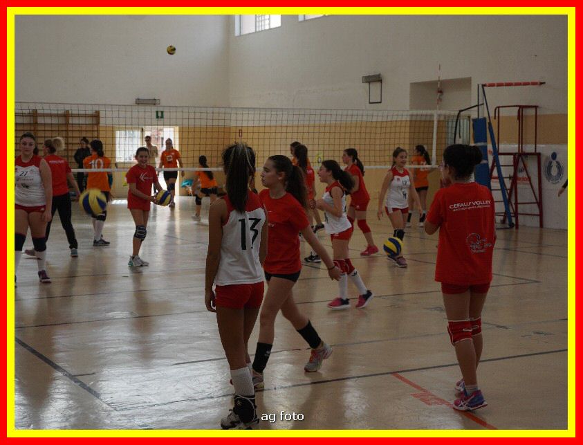 DSC04589_tn.jpg