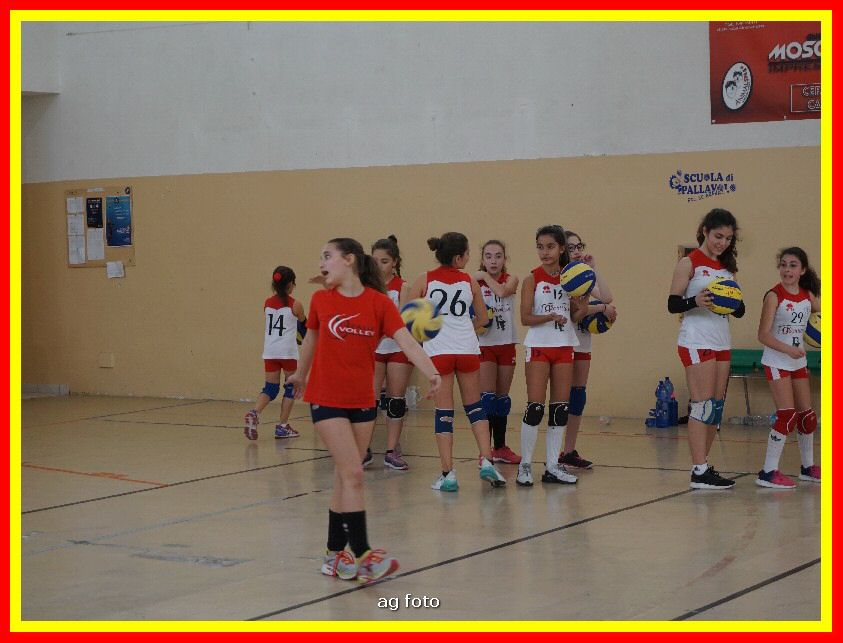 DSC04606_tn.jpg