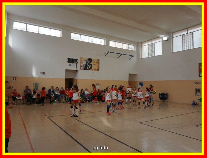DSC04610_tn.jpg