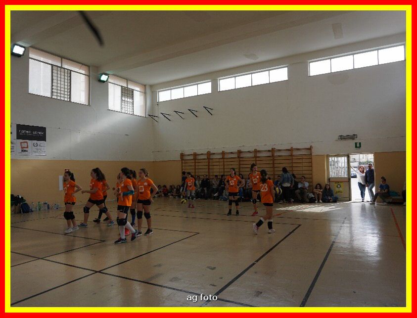 DSC04611_tn.jpg