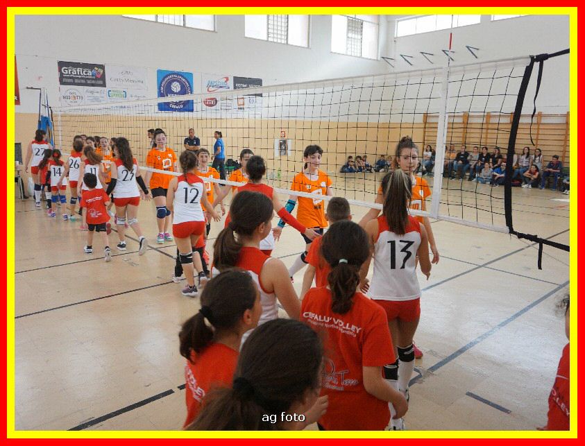 DSC04626_tn.jpg