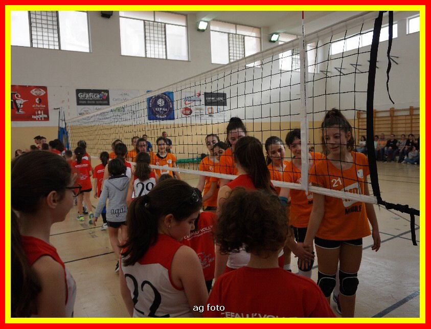 DSC04628_tn.jpg