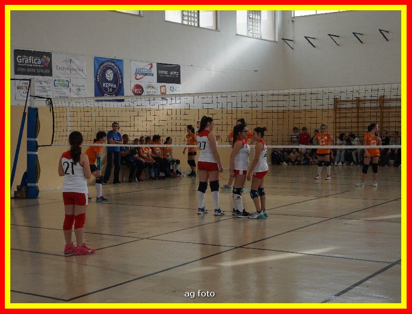 DSC04638_tn.jpg