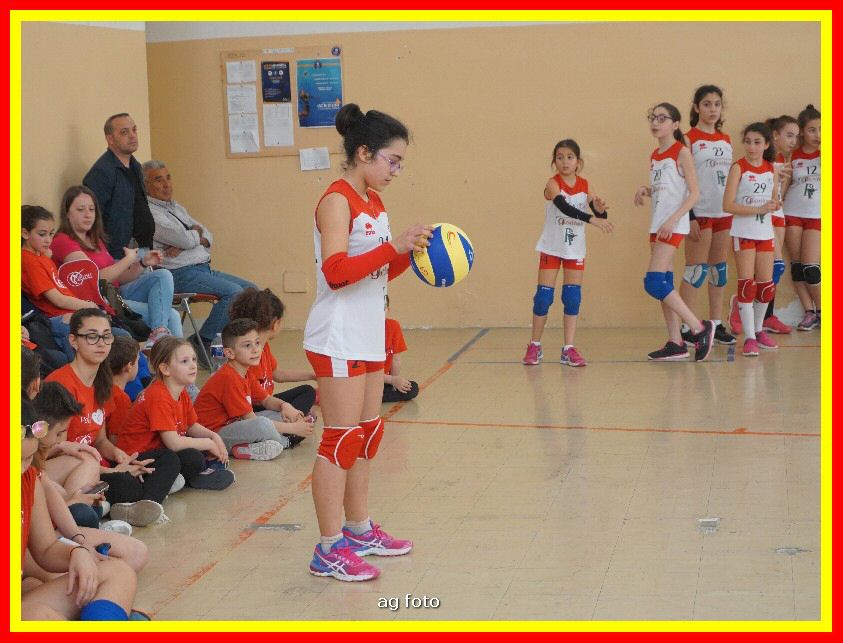 DSC04640_tn.jpg