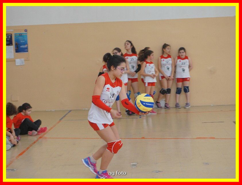 DSC04641_tn.jpg