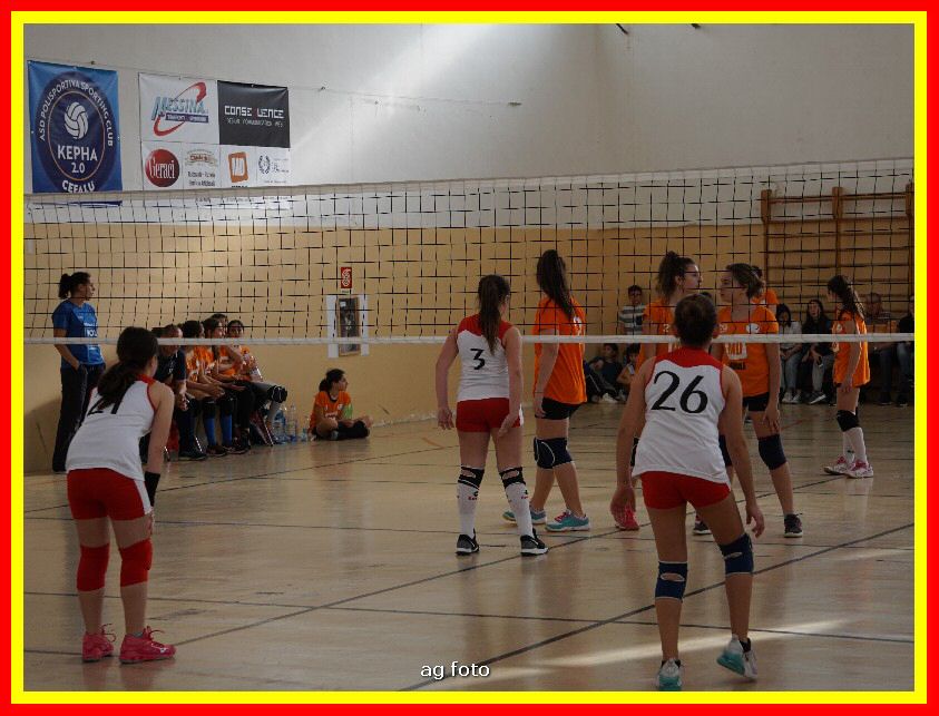 DSC04642_tn.jpg