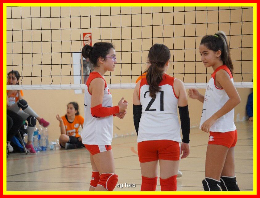 DSC04654_tn.jpg