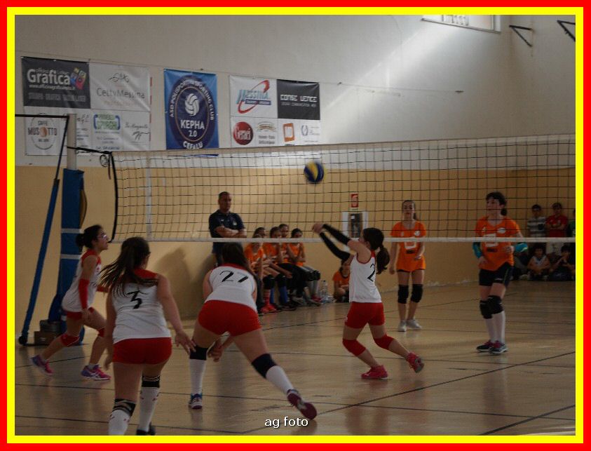 DSC04657_tn.jpg