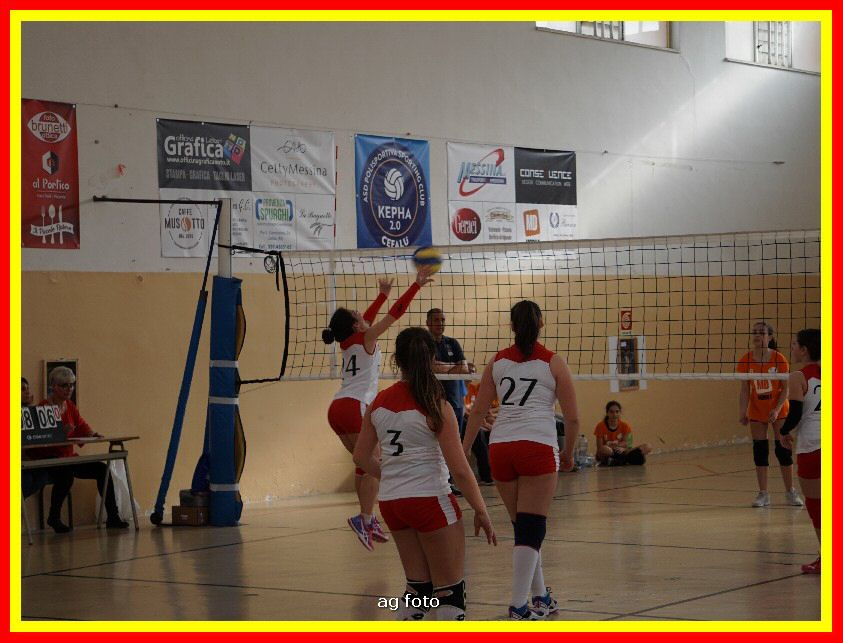 DSC04659_tn.jpg