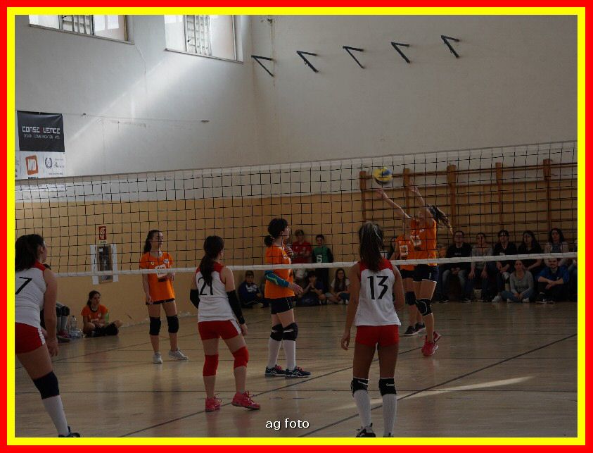 DSC04660_tn.jpg