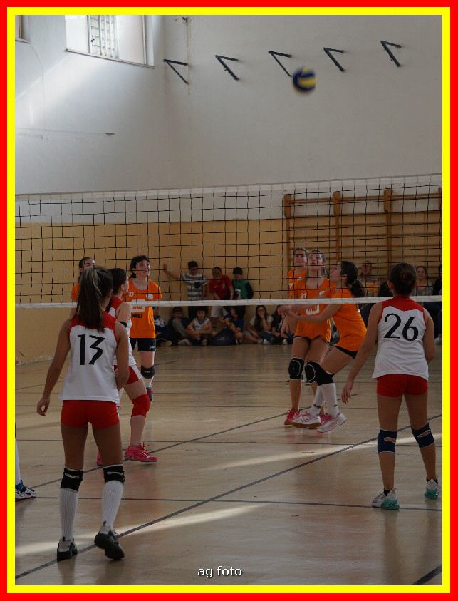 DSC04664_tn.jpg