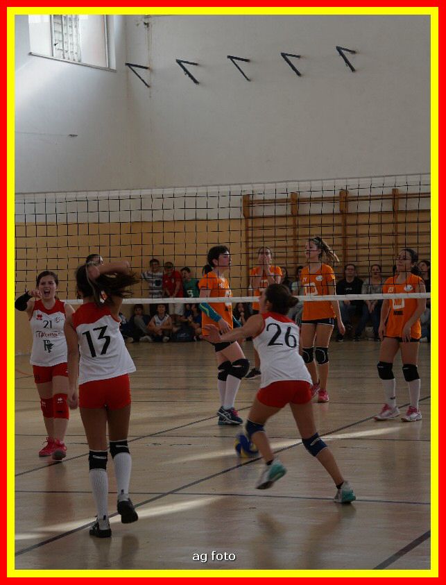 DSC04665_tn.jpg