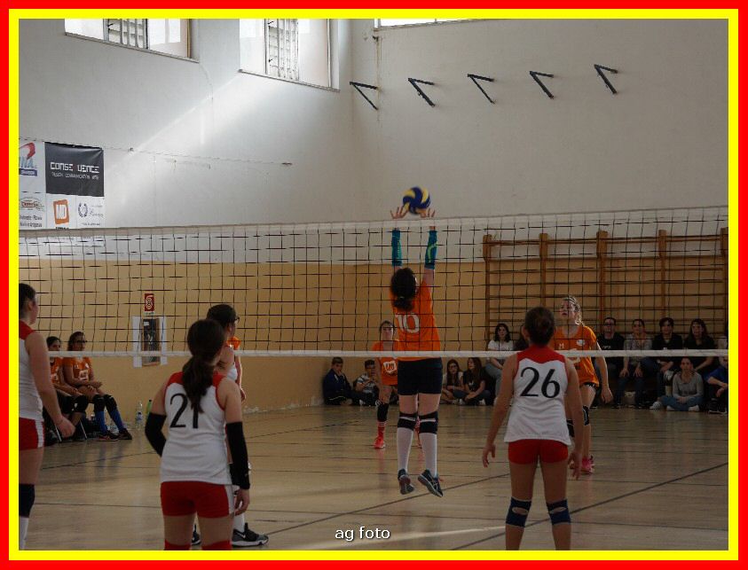 DSC04673_tn.jpg