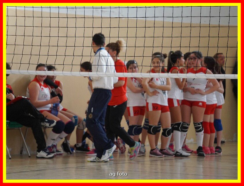 DSC04675_tn.jpg