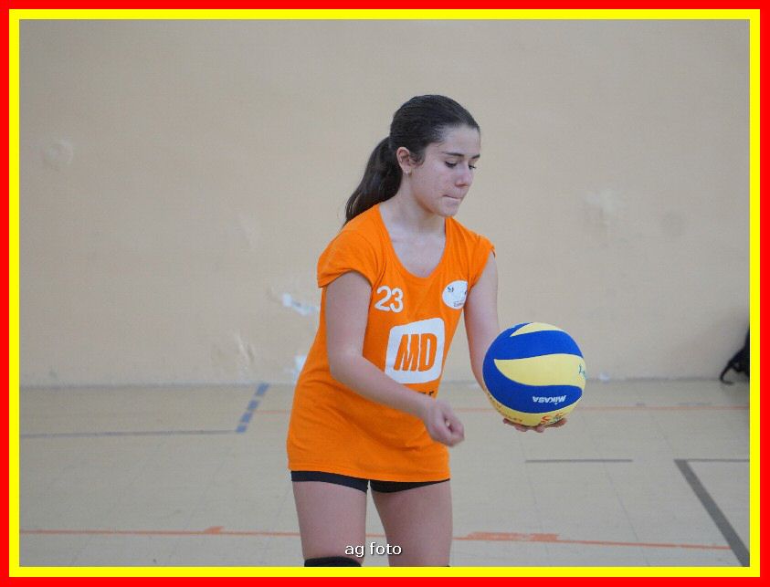 DSC04678_tn.jpg