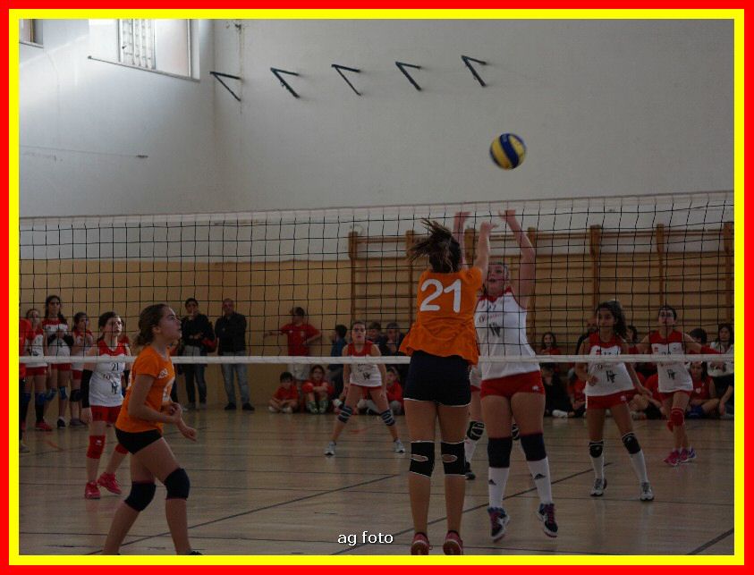 DSC04701_tn.jpg