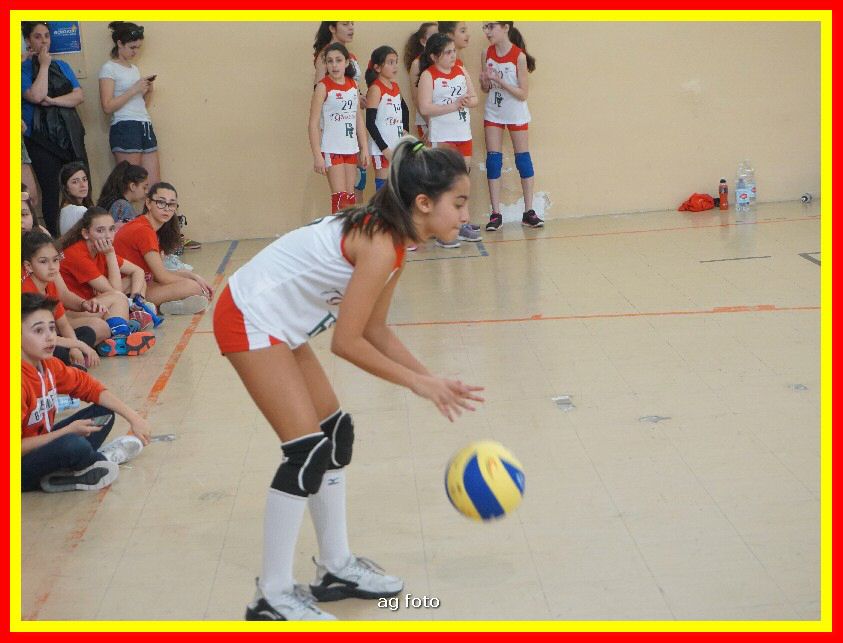 DSC04722_tn.jpg