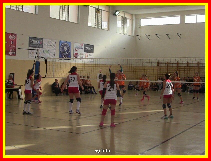 IMG_5952_tn.jpg
