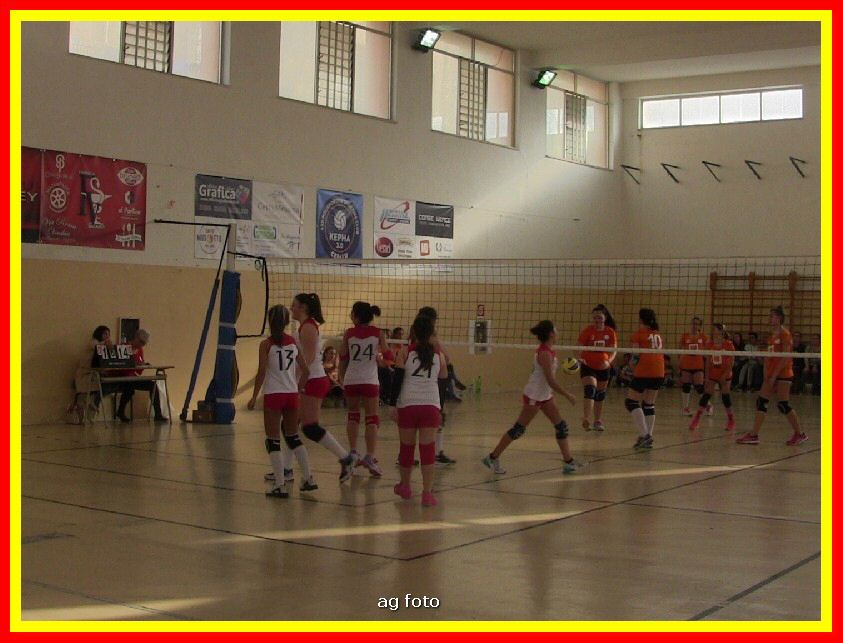 IMG_5954_tn.jpg