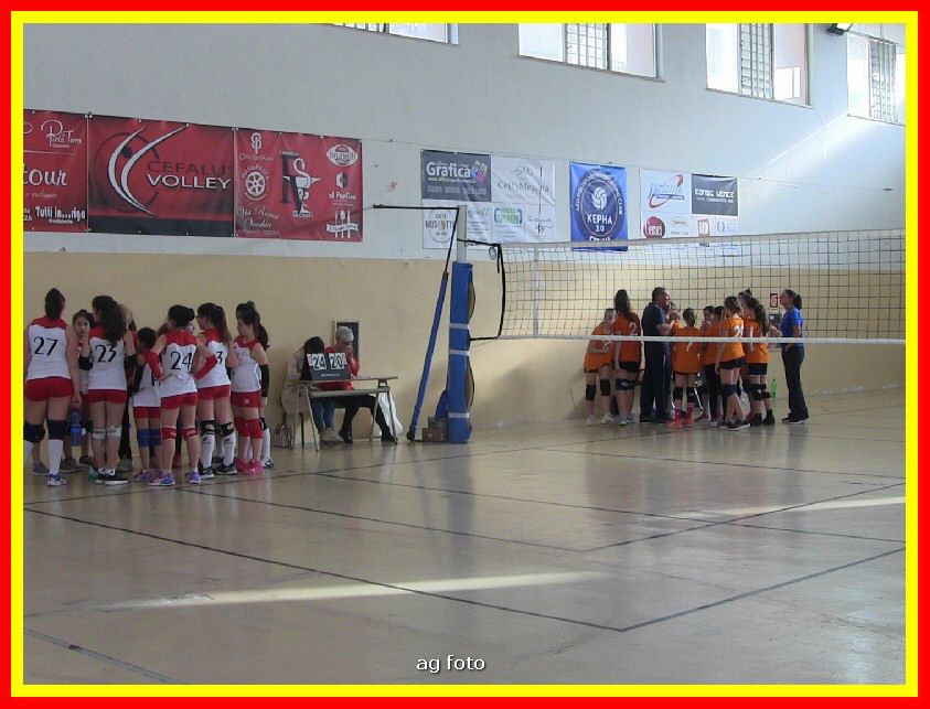 IMG_5959_tn.jpg