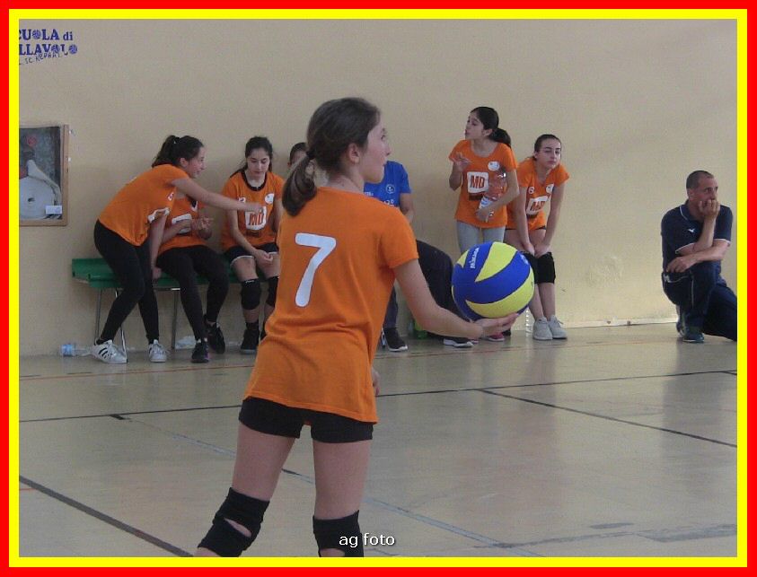 IMG_5962_tn.jpg