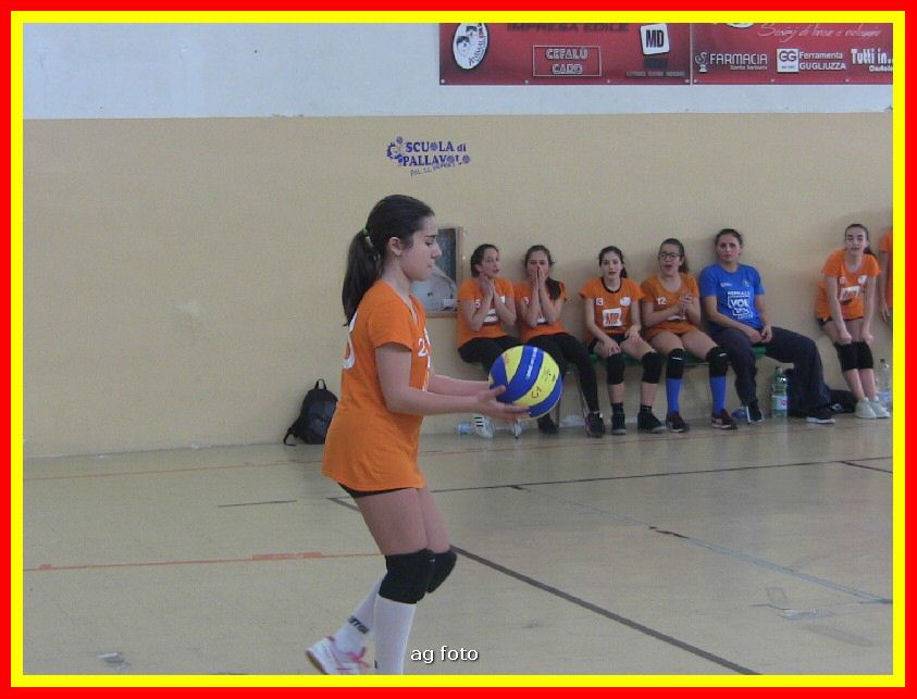 IMG_5965_tn.jpg