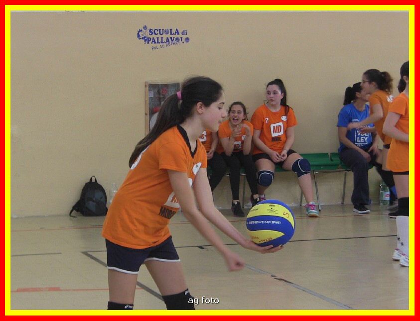 IMG_5968_tn.jpg