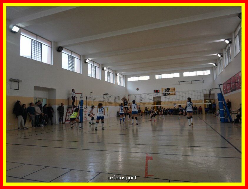 DSC01993_tn.jpg