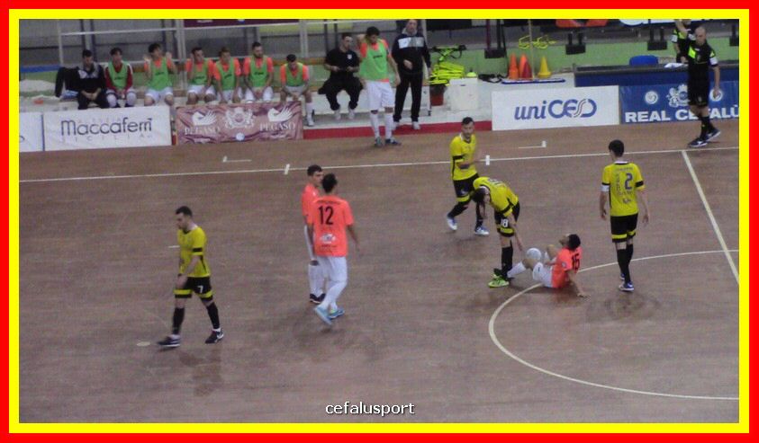 IMG_2541_tn.JPG