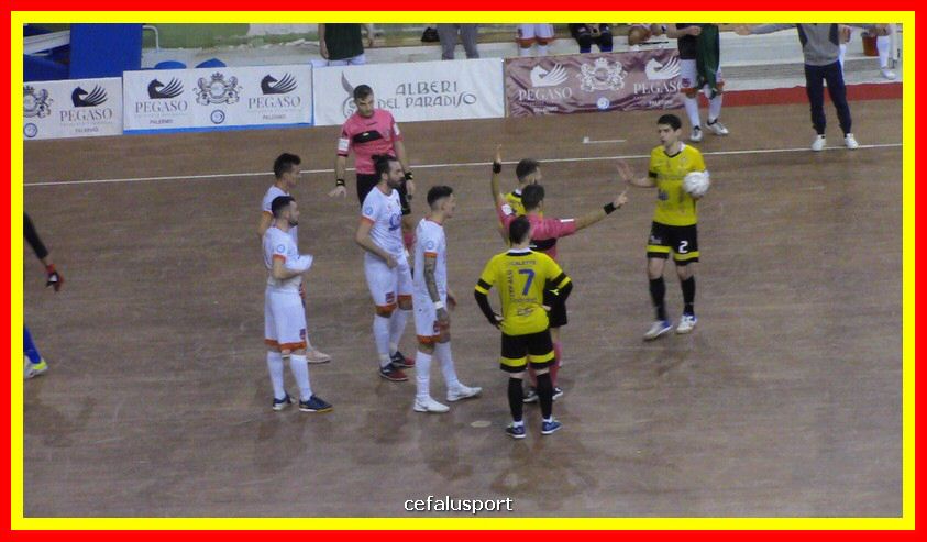 IMG_2603_tn.JPG