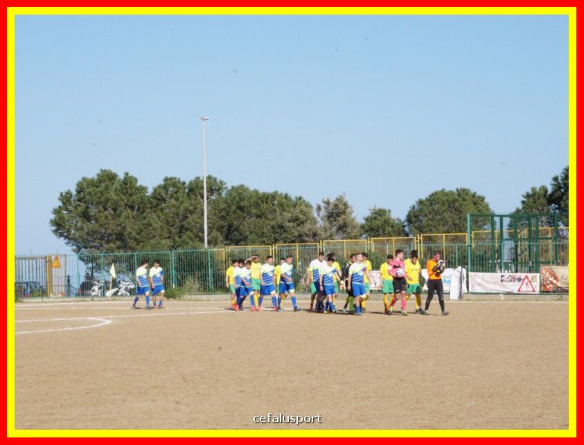 DSC00720_tn.jpg