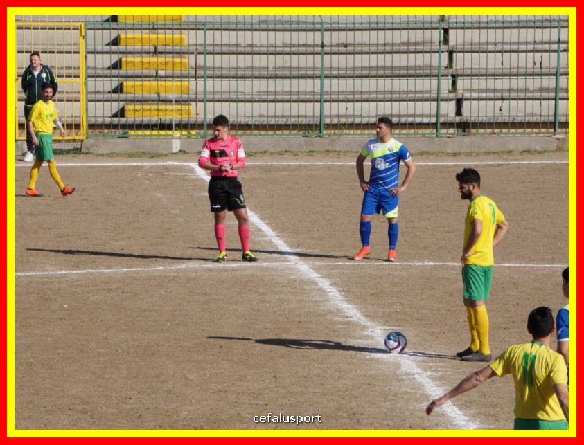 DSC00732_tn.jpg