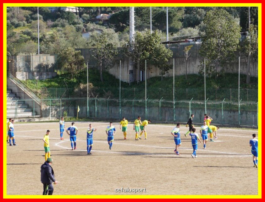 DSC00736_tn.jpg