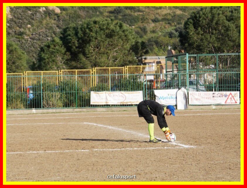 DSC00786_tn.jpg