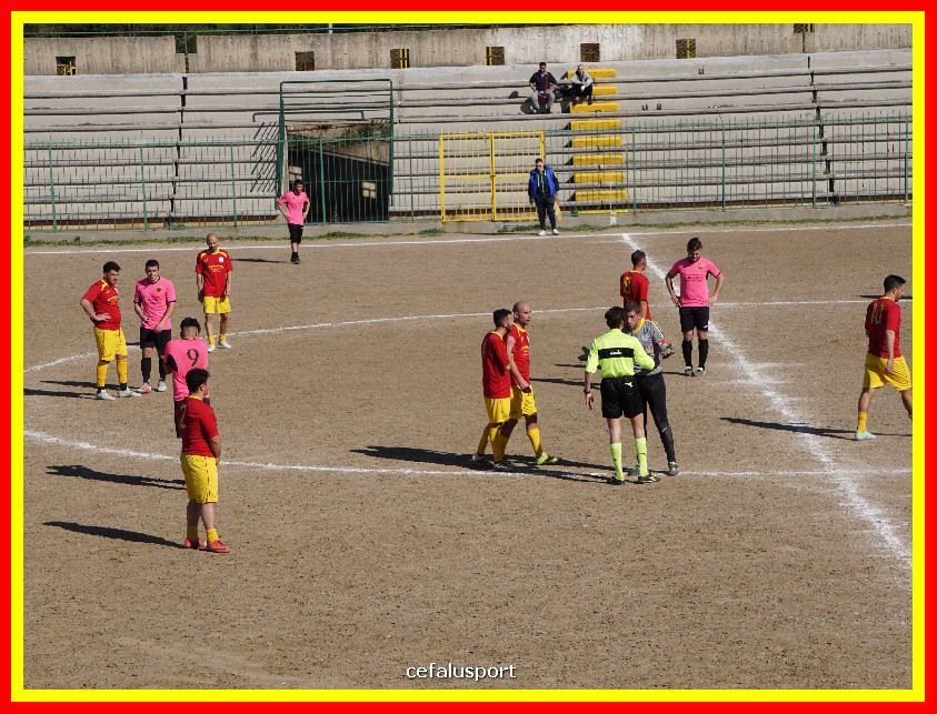 DSC01485_tn.jpg